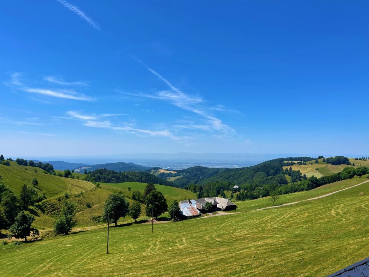 Apartment View House, Schauinsland, Black Forest