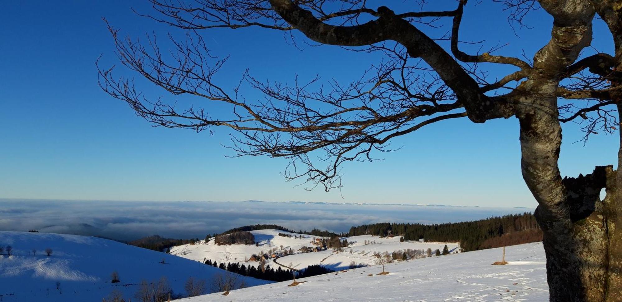 View House, Schauinsland, Black Forest
