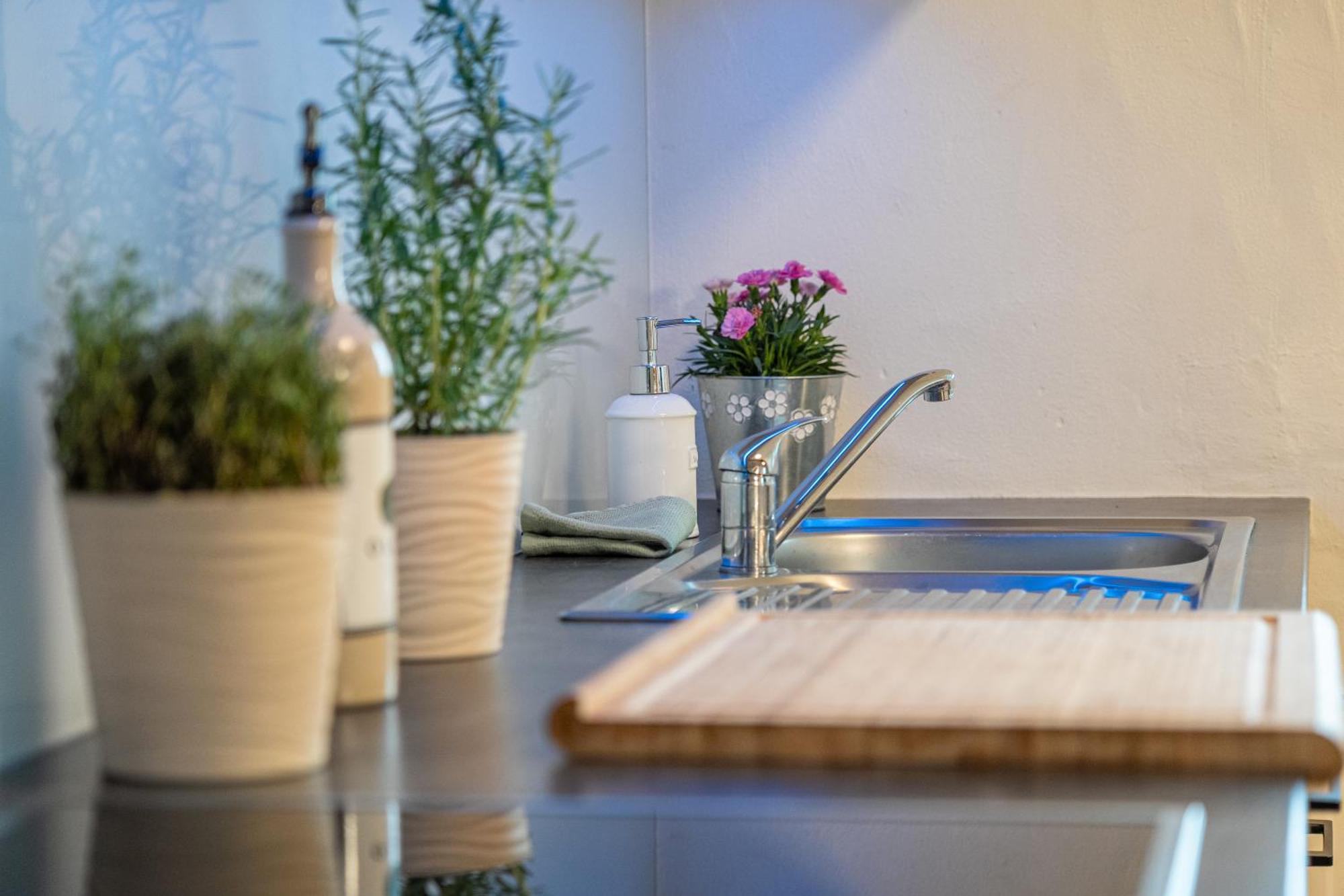 View House, Schauinsland, Black Forest Apartment Muenstertal